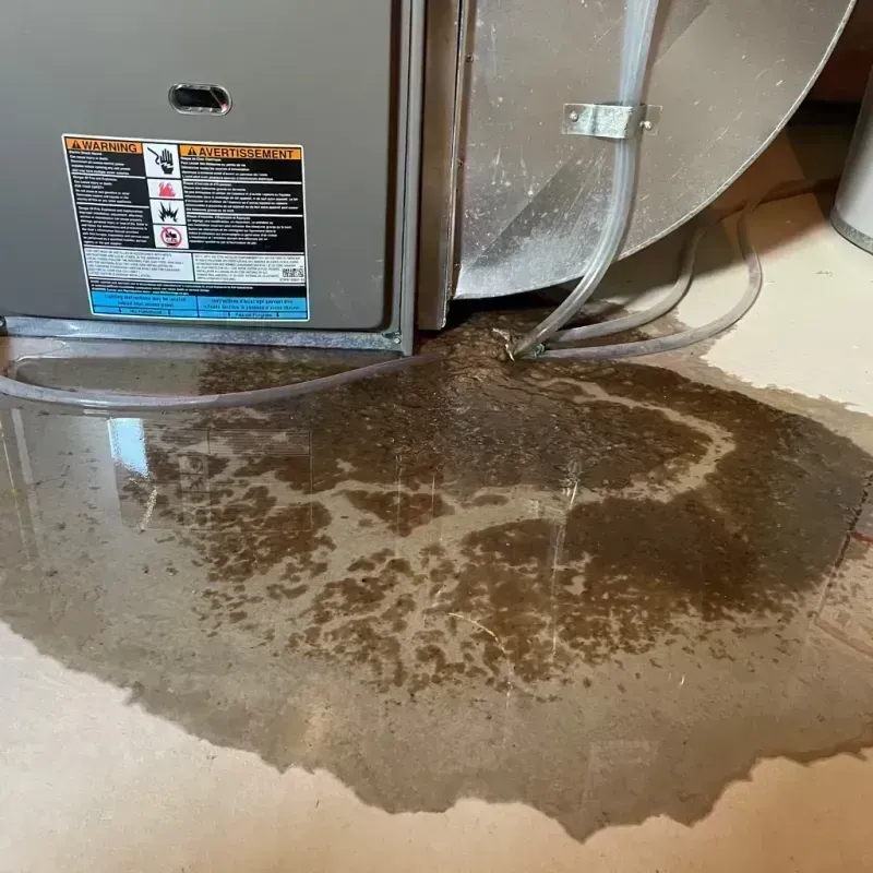 Appliance Leak Cleanup in Newaygo, MI